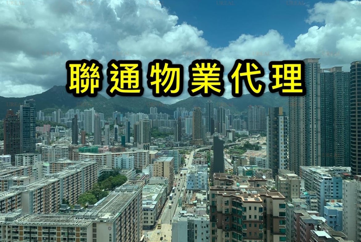 農圃道18號 中層