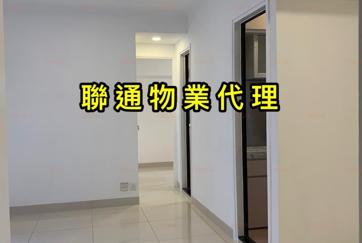 新城中心 低層